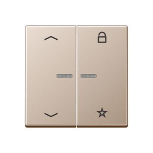 Tastafdeking pijlen A500 champagne eNet