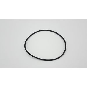 O-ring DN100
