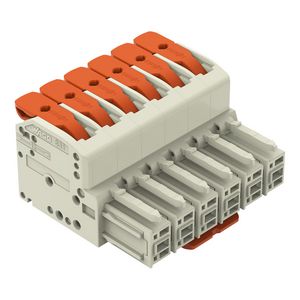 1-draads female steker Hendel Push-in CAGE CLAMP VVE=12