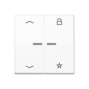 Tastafdekking pijlenAS500 alp.wit eNet