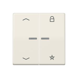 Tastafdekking pijlen AS500 wit eNet