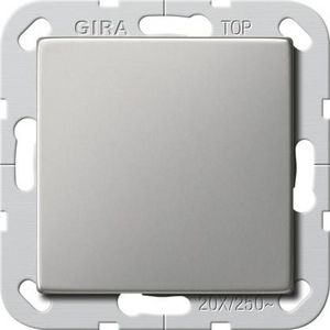 Wipschakelaar BS 20AX uit 2-p System 55 edelstaal
