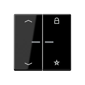 Tastafdekking pijlen A500 slagv.zwart eNet