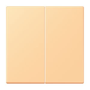 Stuurafdekking 2-voudig standaard LC4320P