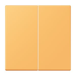 Stuurafdekking 2-voudig standaard LC4320L