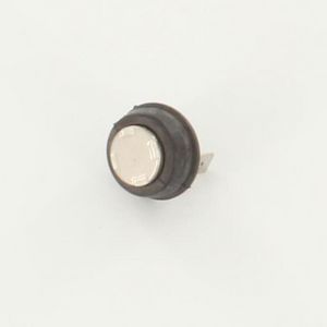 Rookgasthermostaat 8718600182