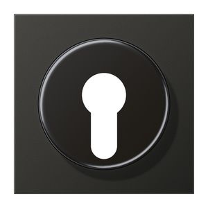 Afdekking antraciet voor sleutelschak. LS