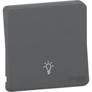 Inzetstuk Enkele wip Symbool lamp IP55 Grijs / A Mureva Styl