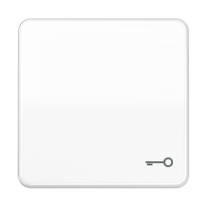 Schakelwip CD500 a.wit met symbool Sleutel