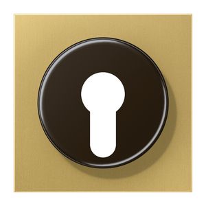 Afdekking sleutelschak. LS messing klass.