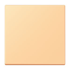 Stuurafdekking standaard LC4320P