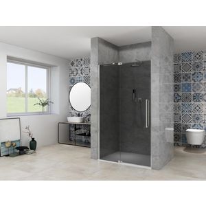 Nis draaideur 2 delig 1050-1150x2000mm 8mm grijs rookglas incl. glasbehandeling rvs muurprofiel greep en stabilisatiestang