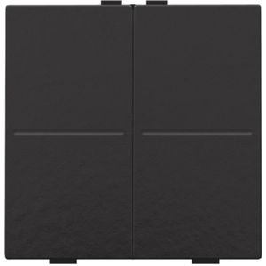 2-voudige toets RF schakelaar/drukknop pianoblack