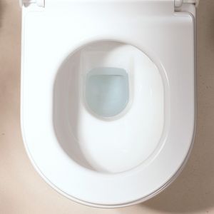 Closet staand EluPura S gesl kopp. 640 AquaFall Flush wit