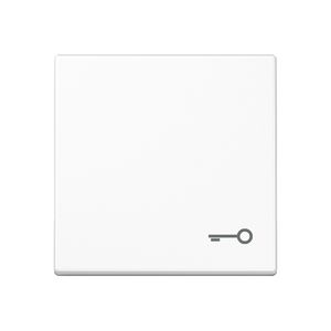 Schakelwip A500 alp.wit symbool sleutel
