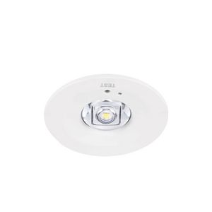 Downlight LIFESAFE RA inbouw EM3 NM zelftest