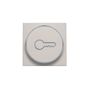 Afwerkingsset doorschijnende ring sleutelsymb. 6A lightgrey