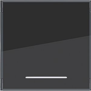 Wip 1-voudig groot tekstveld heldere lens A.x/C.x antraciet