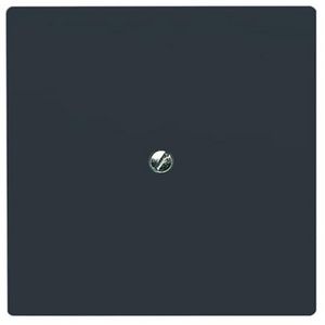 Centraalplaat blinde inb draag met draagraam IP44 A-w antr (2138-35)