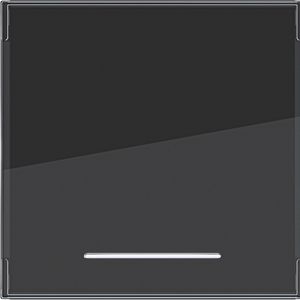 Wip 1-voudig groot tekstveld heldere lens A.x/C.x nachtzwart