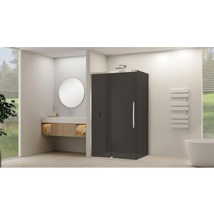 Schuifdeur voor hoekcabine incl. soft-close grijs rookglas incl. glasbehandeling 1165-1215x2000mm geborsteld rvs beslag en greep