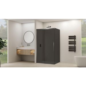 Schuifdeur voor hoekcabine incl. soft-close grijs rookglas incl. glasbehandeling 1165-1215x2000mm geborsteld gun metal beslag en greep