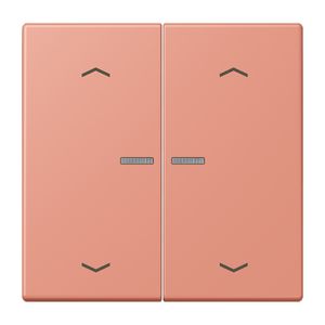 Stuurafdekking 2-voudig pijl LC32111 HOME