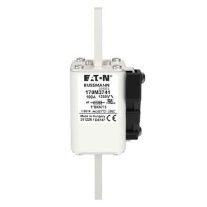 Zekering h. snelheid 100A AC 1250V compact 1 45x59 VVE=2