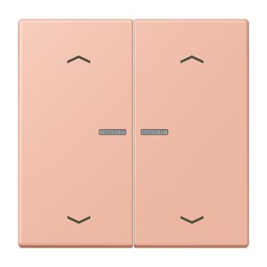 Stuurafdekking 2-voudig pijl LC32102 HOME