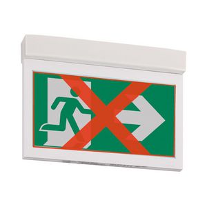 Noodverlichting plafond opbouw centraal adaptieve evacuatie DX 20m