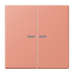 Stuurafdekking 2-voudig LC32111 HOME