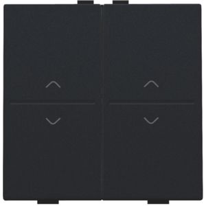 2-voudige toets pijltjes "op"en"neer" RF schakelaar black