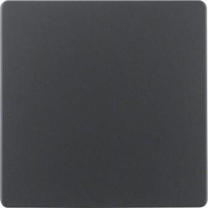 Centraalplaat voor sensorelement antraciet mat