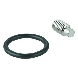 Borgschroef + o-ring