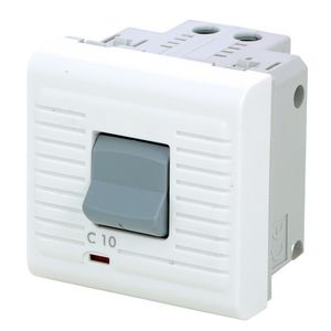 Installatieautomaat 10A 2 modulen Mosaic