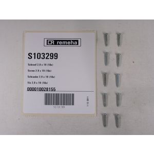 Set a 10st. schroef 2,9 x 19 S103299
