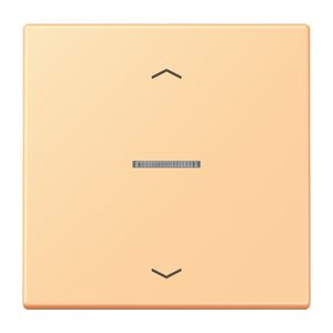 Stuurafdekking 1-voudigoudig pijl LC4320P HOME