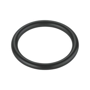 O-ring 43877000