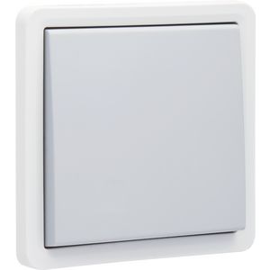 Spuitwaterdichte niet-verlichtbare enkel knop 10A/ 250V insteekklemmen grijs excl. montagedoos
