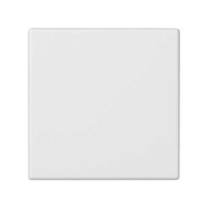 Blindplaat wit 45x45mm