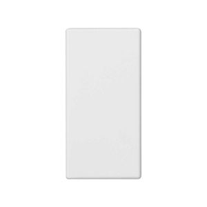 Blindplaat wit 22,5x45mm