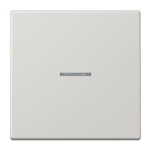 Stuurafdekking LS 1voudig lichtgrijs HOME