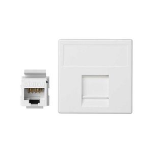 1x RJ45 Cat.6 inbouwmodule wit 45x45mm