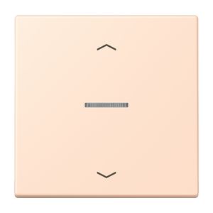 Stuurafdekking 1-voudigoudig pijl LC32091 HOME