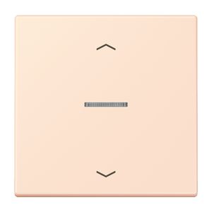 Stuurafdekking 1-voudigoudig pijl LC32082 HOME