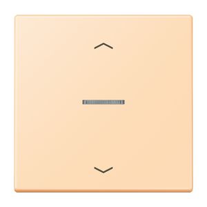 Stuurafdekking 1-voudigoudig pijl LC32060 HOME
