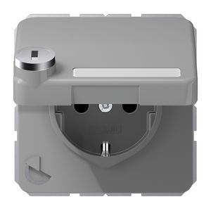 Wandcontactdoos CD500 grijs klapd. tekstvenst. slot