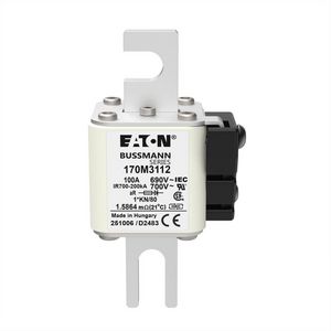 Zekering h. snelheid 100A AC 690V 200kA compact 1 45x VVE=6