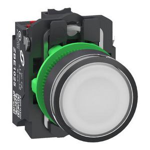 Verlichte drukknop Harmony XB5 Plastic wit Vlak 22mm univers