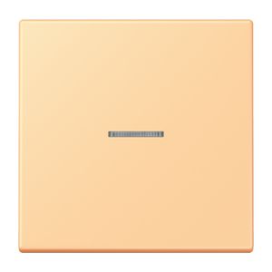 Stuurafdekking 1-voudigoudig LC4320P HOME